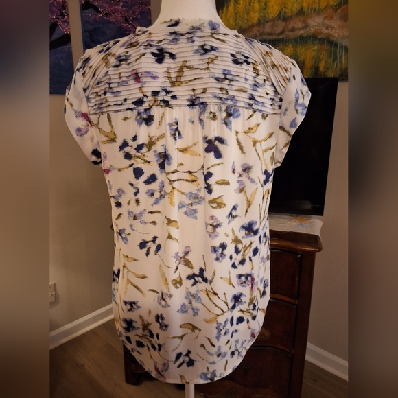 Daniel Rainn Floral Blouse in Cream with Blue and Gold Accents - Picture 2 of 5